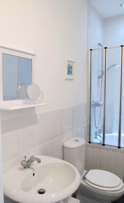 The Beatnik, Victorian Townhouse Apartment With Parking Plymouth Exteriör bild